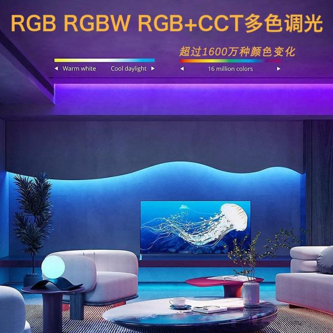 কমার্শিয়াল ম্যাজিক সিওবি এলইডি স্ট্রিপ ড্রিম ফুল কালার ডিসি 24 ভোল্ট অ্যাড্রেসযোগ্য 5